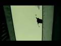 District B13 - David Belle chase scene