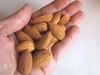 Almonds - rich in protein - healthy food