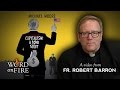 Fr. Barron comments on 