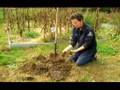 Basic Gardening Tips : How to Create Good Growing Soil