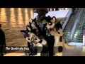 Fursuit Hug Variations