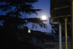 Tibetan-temple-moon-tree-Dharamshala, India