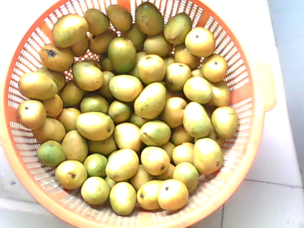 Sweet Misridana mango of Bangladesh by Rezowan