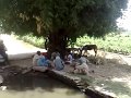 Beautiful Pakistan Punjab Village Life