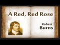 A Red, Red Rose by Robert Burns - Poetry Reading