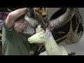 Testa's Taxidermy Tip's - Mounting a Deer Head (Part 1)