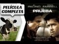 LA PRUEBA - Pelicula Completa en Español (Al Pacino - Colin Farrell)