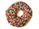 doughnut-4e720eca7ad977c8fb598963d65d23761c86f89e-s6-c10