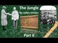 Part 6 - The Jungle Audiobook by Upton Sinclair (Chs 23-25)