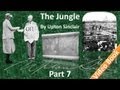 Part 7 - The Jungle Audiobook by Upton Sinclair (Chs 26-28)