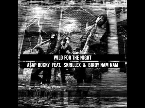 Wild For The Night - A$AP Rocky feat. Skrillex and Birdy Nam Nam