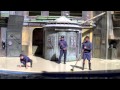 SeaWorld San Antonio: Harlem Shake