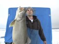 Monster Lake Trout Ice Fishing Video