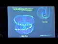 Nassim Haramein Double Torus Figure - Final Title pending =D -