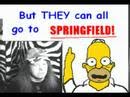 HOMER IS PERFECT! (HANNAH MONTANA PARODY!)