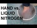 Hand vs. Liquid Nitrogen and the Leidenfrost Effect