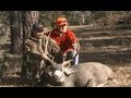 Oregon Rifle Mule Deer Hunt - MossBack