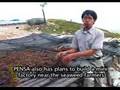 Seaweed Cultivation