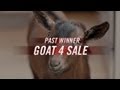 Doritos® - Goat 4 Sale -- Crash the Super Bowl 2013 Winner