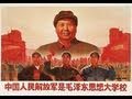 The Cultural Revolution in China