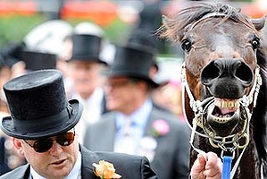 Peter Moody with Black Caviar after the win in the Diamond Jubilee Stakes.