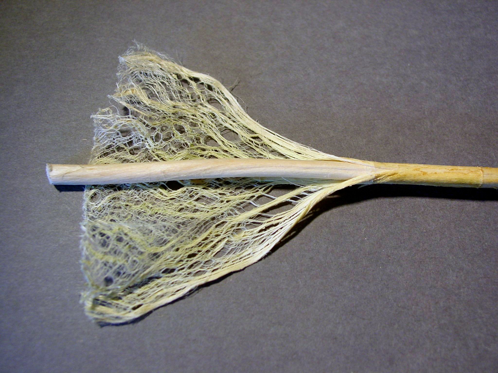 Hemp stem fibre