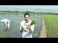 Foreigners Planting Rice In The Philippines (Ep. 7)