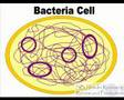 Genetic Engineering Animation