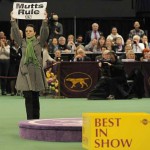 peta at dog show