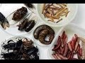 Insects and strange food in China  - Beijing Wangfujing Night Market