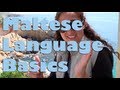 Maltese Words - Language - Davidsbeenhere