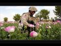 US Soldiers guarding opium in Afghanistan