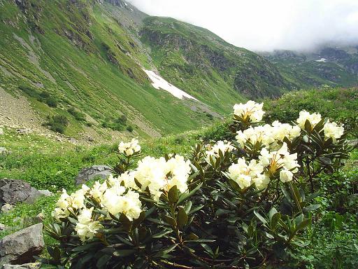 Western Caucasus Nature Reserve