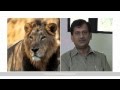 Translocation of Asiatic Lions