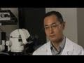 Interview with Nobel winner Shinya Yamanaka