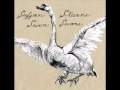 Sufjan Stevens - Seven Swans