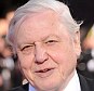 Veteran: Wildlife expert David Attenborough is one of the show's hosts