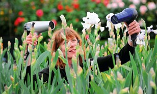 Chelsea Flower Show