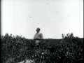 Theodore Roosevelt [in Louisiana], 1915