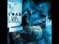 Toad the Wet Sprocket - Crazy Life