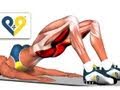 BEST Tone Buttocks exercise - Reduce buttocks and  thighs with Bridging exercise