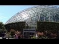 Climatron Geodesic Dome Conservatory - Missouri Botanical Garden