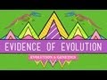 Evolution: It's a Thing - Crash Course Biology #20