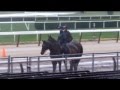 Kentucky Derby winner Orb returns to the track May 8, 2013 at Belmont Park