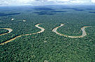 Rio Pinquen, Manu National Park, Amazon Rainforest, Peru. 