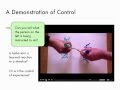 Visual Demonstrations and Introduction to Perceptual Control Theory