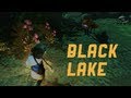 Black Lake - Amnesia Fortnight