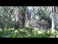 2,000 Year Old Food Forest in Morocco