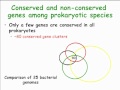 Molecular and Cell Biology C148 - Lecture 12