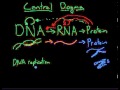 Molecular Biology Outline - Central Dogma